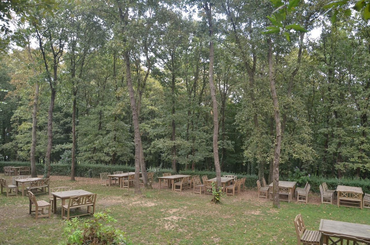 Green House Garden Park Hotel Cumhuriyet Bagian luar foto