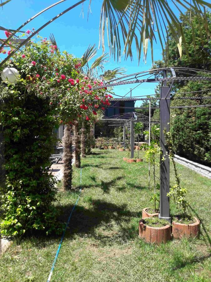 Green House Garden Park Hotel Cumhuriyet Bagian luar foto
